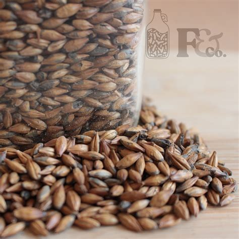 munich ii malt